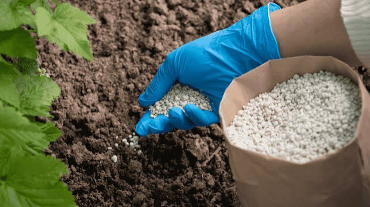 Fertilizers and Pesticides