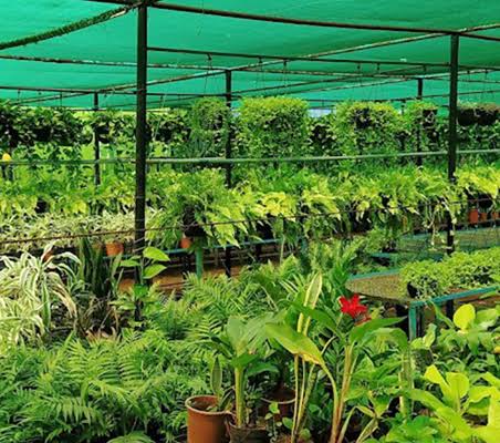 Nursery